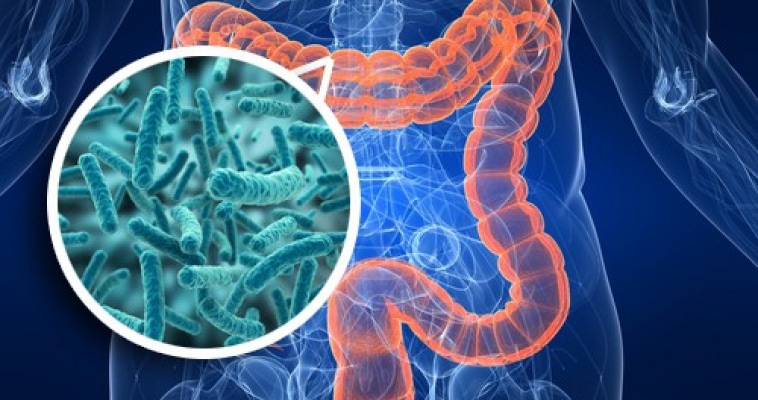 Estudio Funcional de Microbiótica intestinal