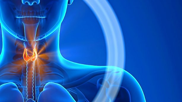 Hipotiroidismo: la disfunción más habitual